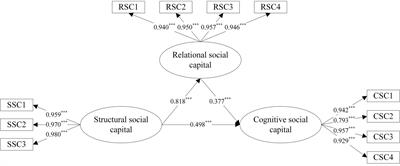 Modeling residents’ multidimensional social capital in China’s neighborhood renewal projects: SEM and MIMIC approaches